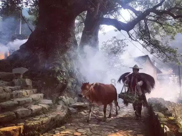 商场购物狂欢