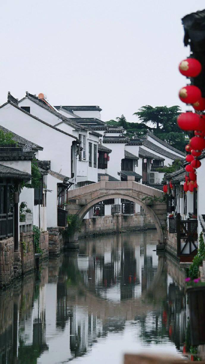 忍者鲨鱼